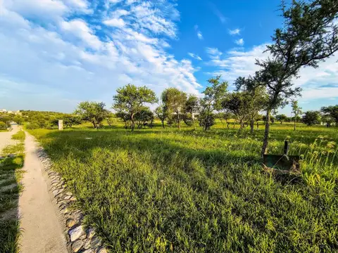 Terreno en Venta de 1007,0 m2