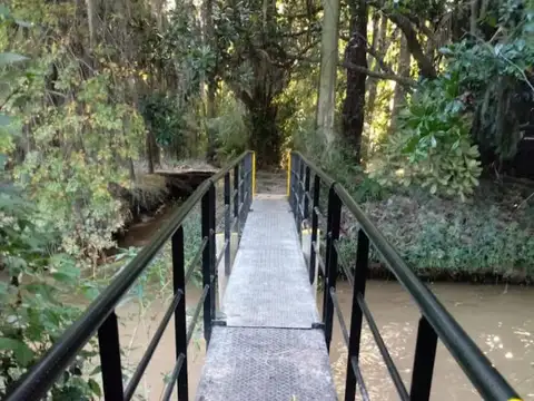 Ruta 25 y Paraná de las Palmas