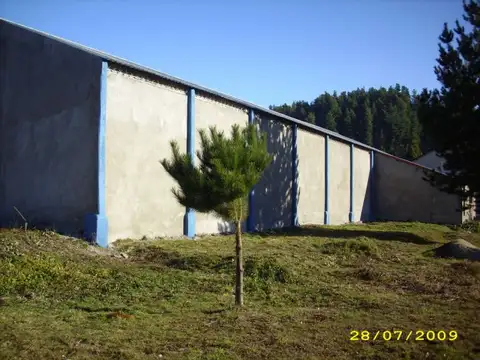 cerro radal, lago puelo