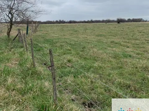 LOTES sobre la ruta en Domselaar