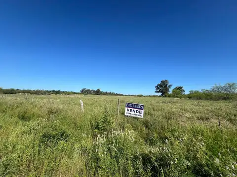 San Isidro y Florencio Parravicini