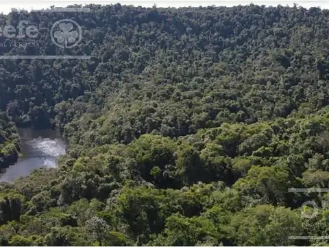 Venta 9058 Has Salta Bosques nativos Ideal Bonos verdes