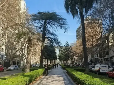 Dueña  Oroño y 9 de Julio 1 dorm + comodín/ estudio. Sin Mascotas. Frente Norte.