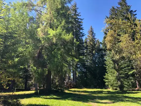 Venta lote  Villa La Angostura