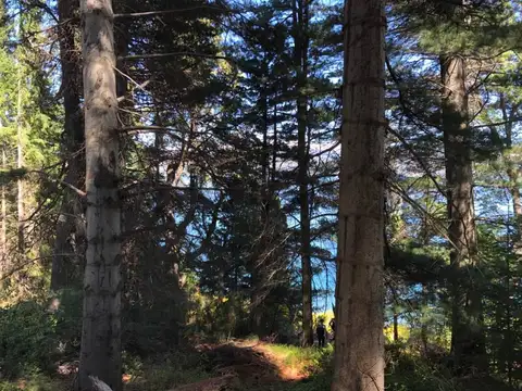 Terreno en Venta de 2933,0 m2