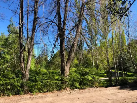 Ruta 40