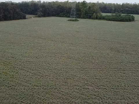 SOBRE RUTA 9-SAN PEDRO-