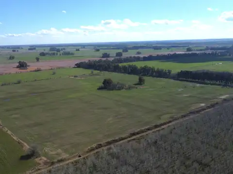 Campo de 35 has agricolas en Venta en Jauregui