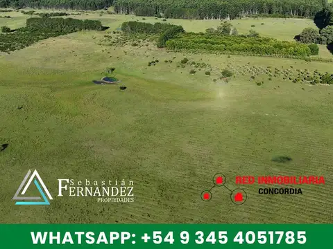 Campo en Venta de 50  ha