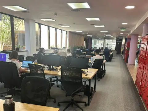 Oficina en Alquiler 24 años