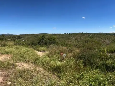 El Vergel