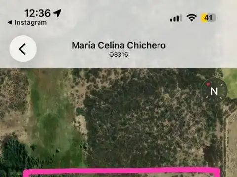 Ruta 17 100