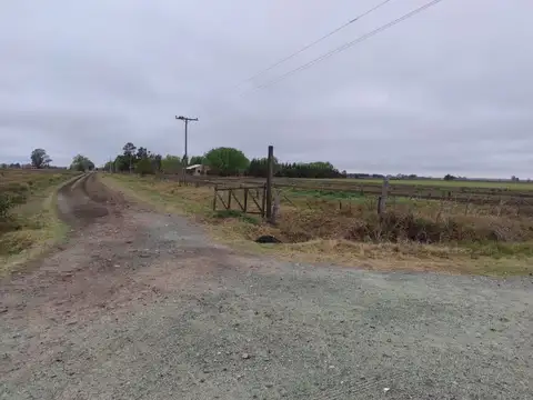 VENTA DE 16HA DE CAMPO EN IBARLUCEA