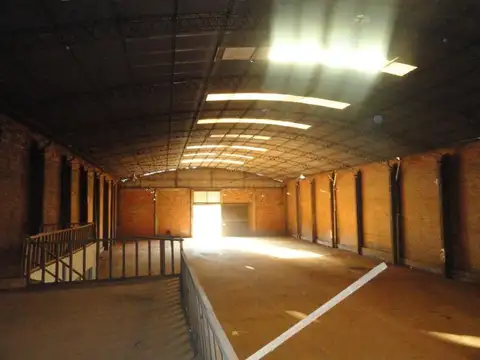 Av Cocomarola 6500