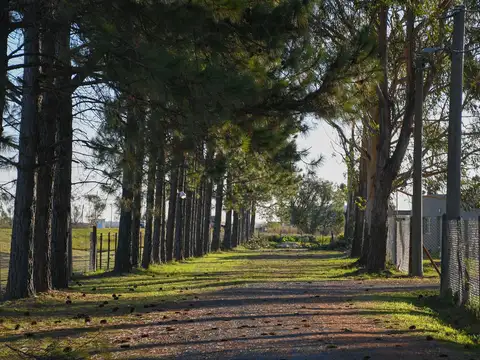 Terreno en Venta en Piñero Barrio El Amanecer 570m2