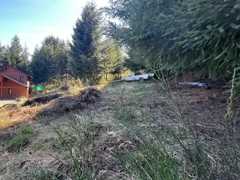 Del Pehuen  al 200