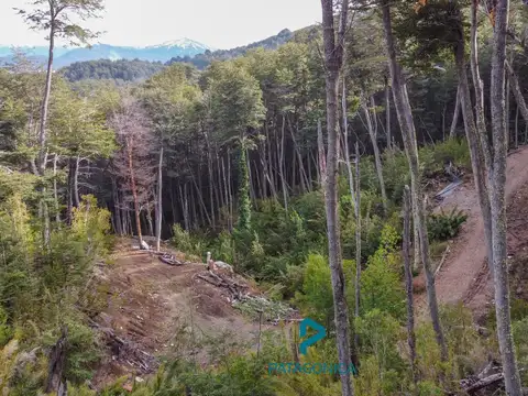 Terreno en Venta de 4217,0 m2