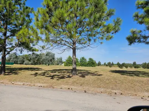 Terreno en Venta 40  mts Frente