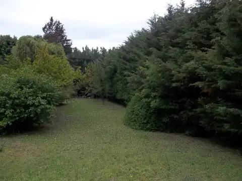 Miguel Bazan lote 14-15