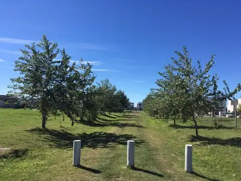 Terreno en Venta en Laguna Azul, USD 13.500