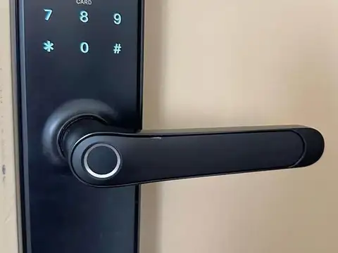 Carlos Pellegrini 100