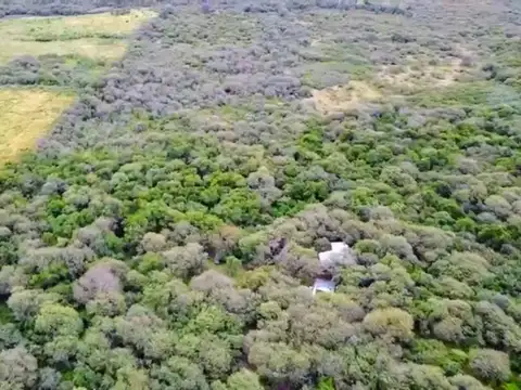 Camino de la Costa 100