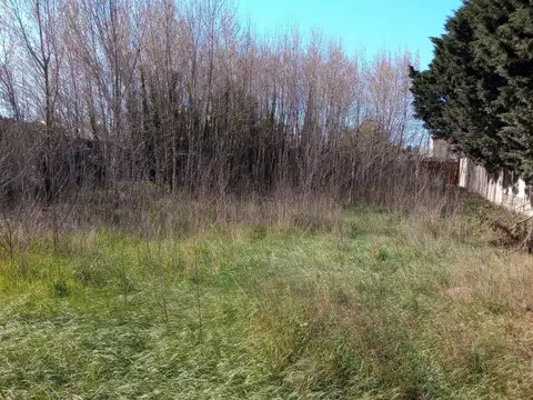 Avenida Libertad 9000