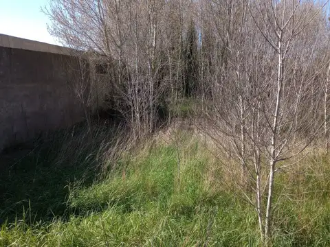 Terreno en Venta en Barrio Libertad, USD 35.000