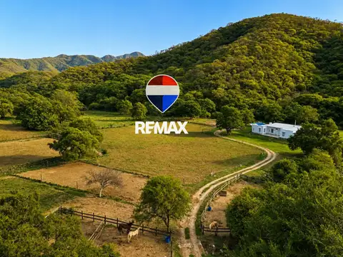 VENTA FINCA ECUESTRE BOUTIQUE 42 HA - EL GALLINATO