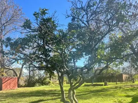 Campo con casco de estancia en venta – 7,13 hectáreas | Los Hornos, La Plata