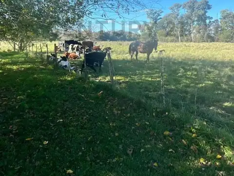 72 y 173, Los Hornos , Piso 0