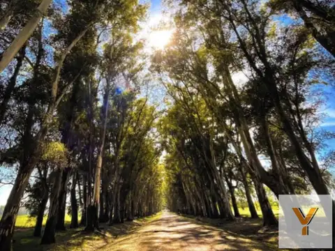 Terreno en Venta de 2794,0 m2