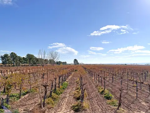 Campo en Venta Agricola