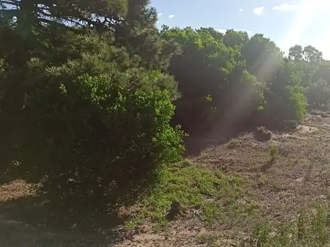 Lote de 2716 M2 ubicado en Mar de las Pampas |Cod.850