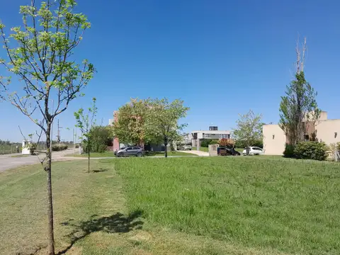 Ruta 16 al 100