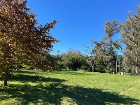 Av. Fernández Beschtedt S/N