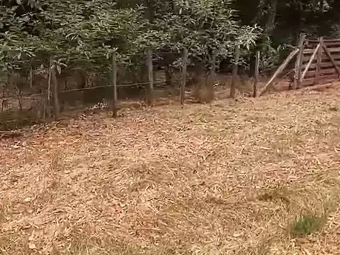 Venta Terreno Calandrias, Santa Ana, Colonia.