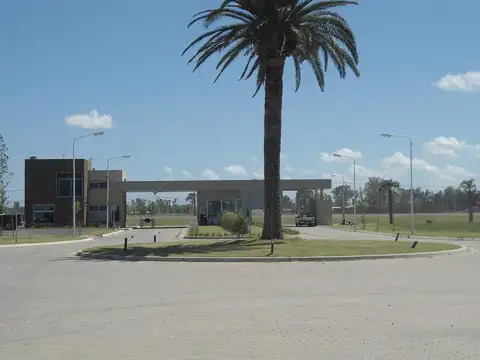 Roldan
