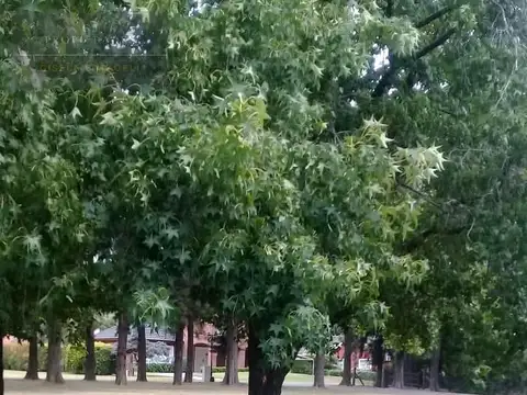 Terreno en Venta en La Otilia, USD 120.000