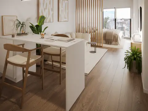 monoambiente