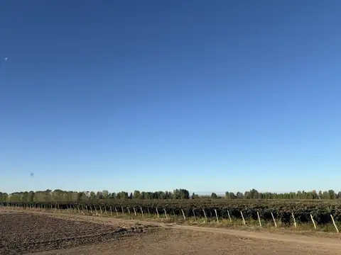 Terreno en Venta de 760000,0 m2