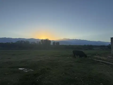 Finca en Chilecito - San Carlos