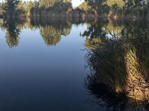 Finca en Chilecito - San Carlos
