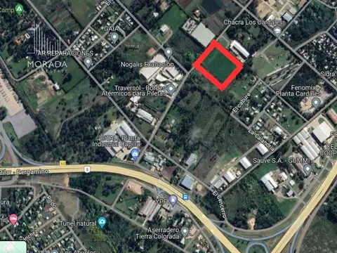 Terreno en Venta de 9000,0 m2