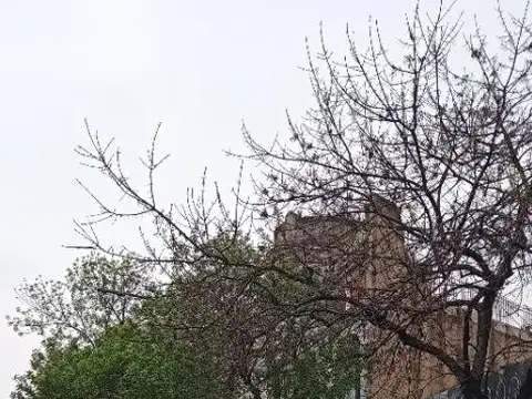 Avenida Rivadavia 8600