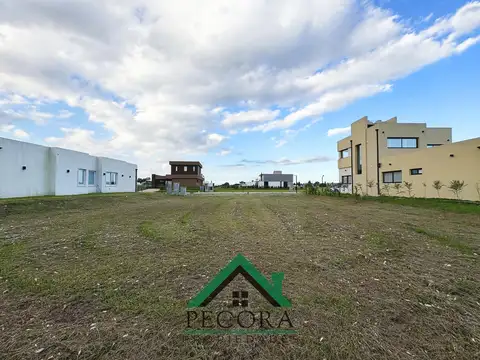 Terreno en Venta 30  mts Fondo