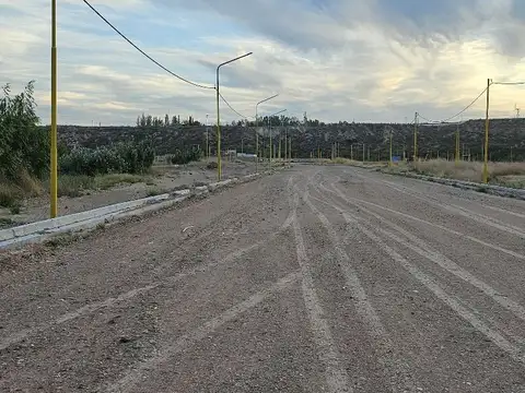 Terreno en Venta en Centenario, USD 29.000