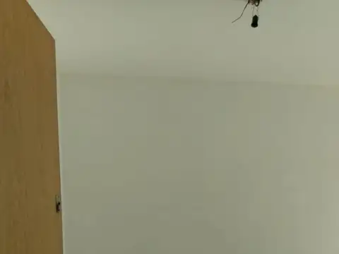 Suipacha 800, Piso 9