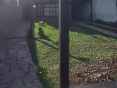 Cnel J Murature 1800