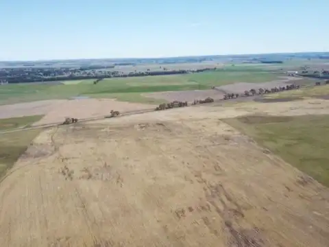 Mar del Plata  240 has